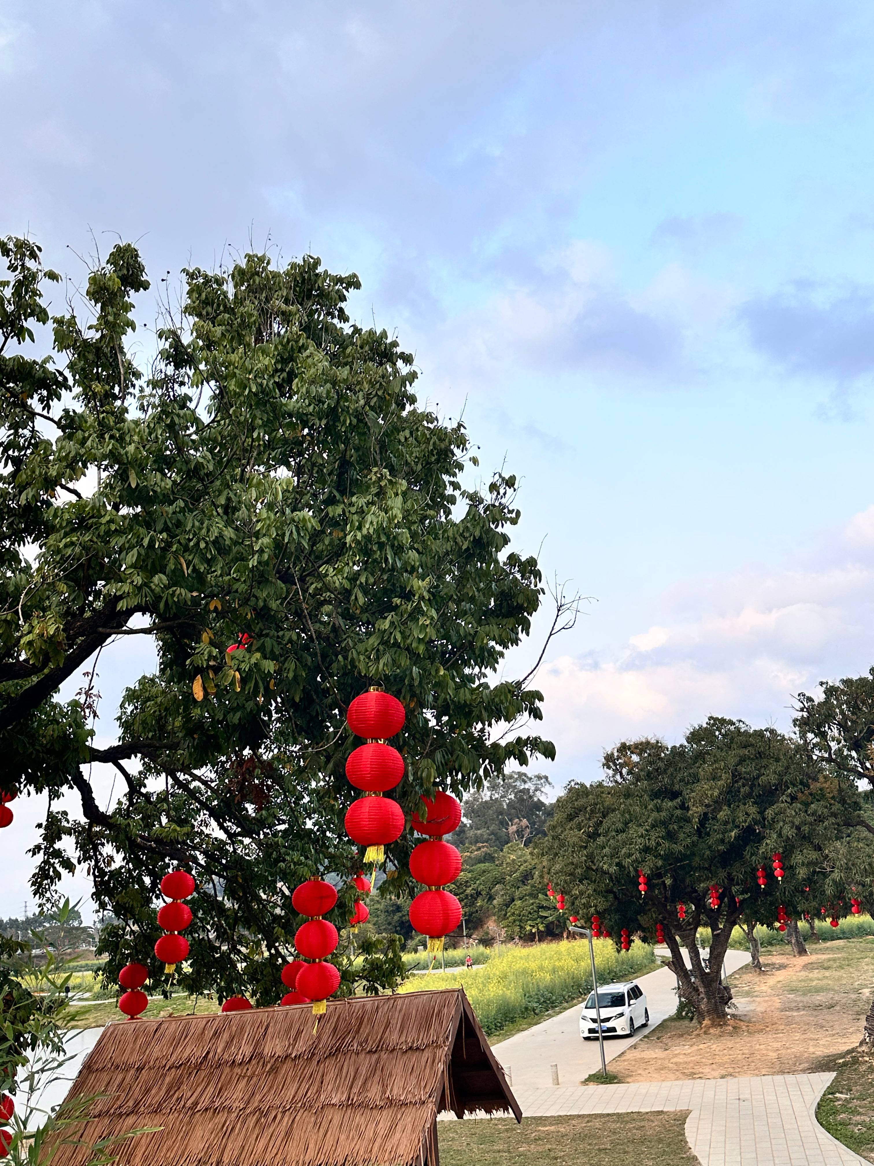 吉气东来家乡美，生肖之谜待揭晓