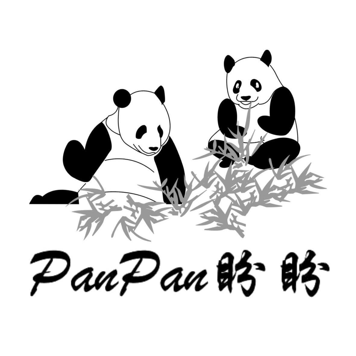 东盼西盼，揭秘生肖之谜