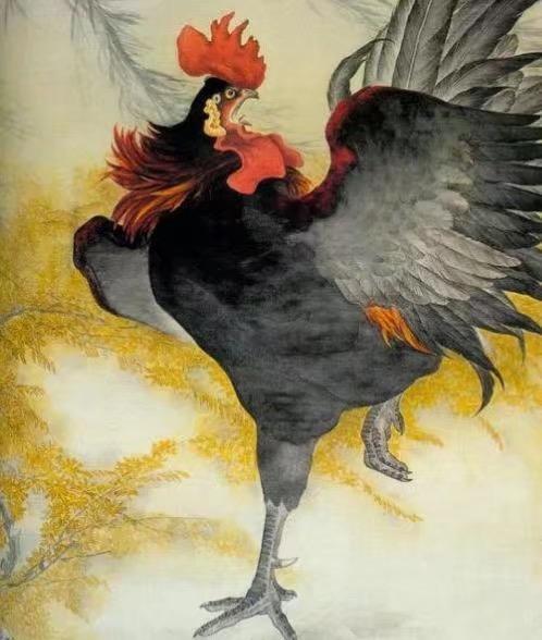 起早贪黑是指什么生肖，深度解析与落实