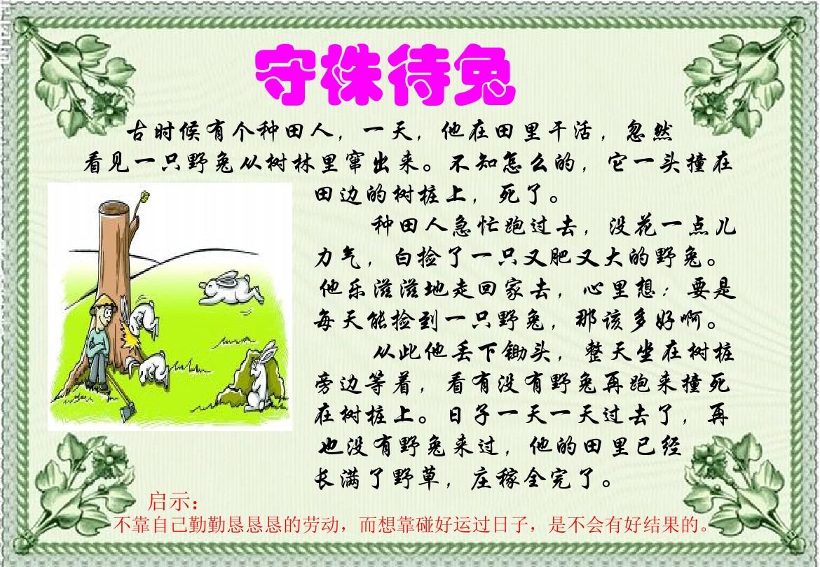 守株待兔什么生肖，创造作答落实解释