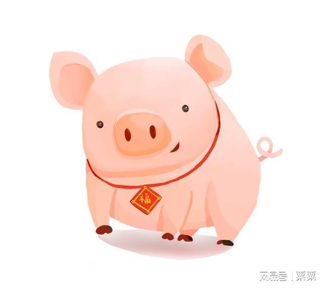 猪的幸运生肖，与积极行动的完美结合