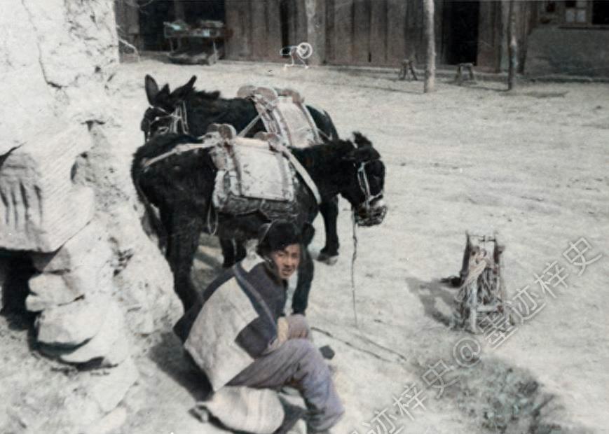 揭秘四战之地的生肖，属马者的坚韧与信念