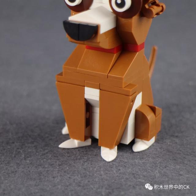 一龙一猪打一正确生肖，最新解释与落实