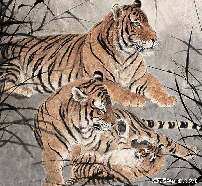 横眉立目，生肖中的虎与积极心态的实践