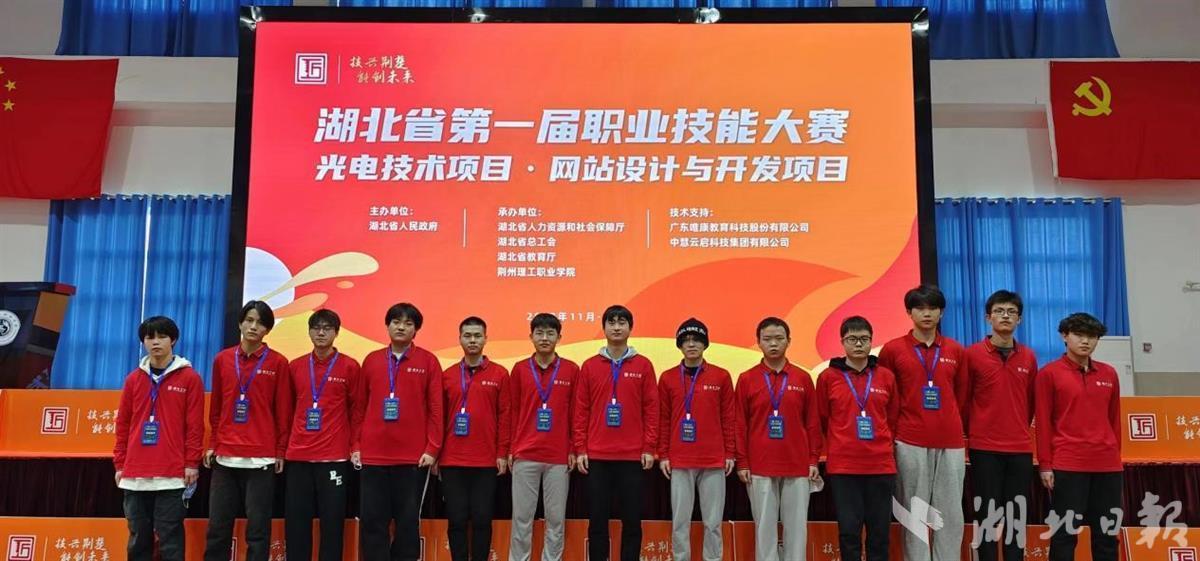 殿字是什么生肖，精选解析与落实的详细结果