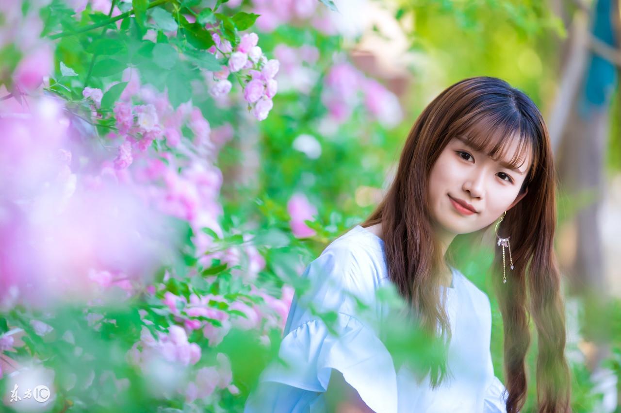 比翼双飞，生肖中的浪漫与时代解释的落实