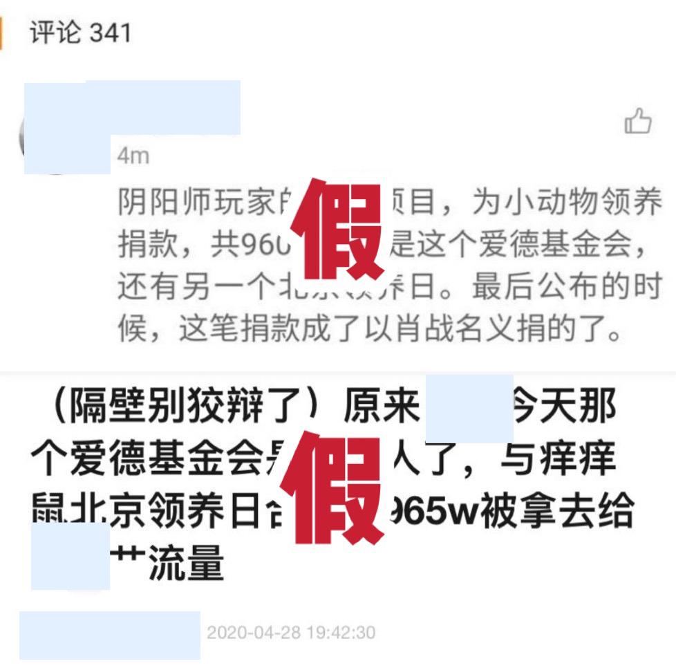 阴阳肖，生肖中的和谐共舞