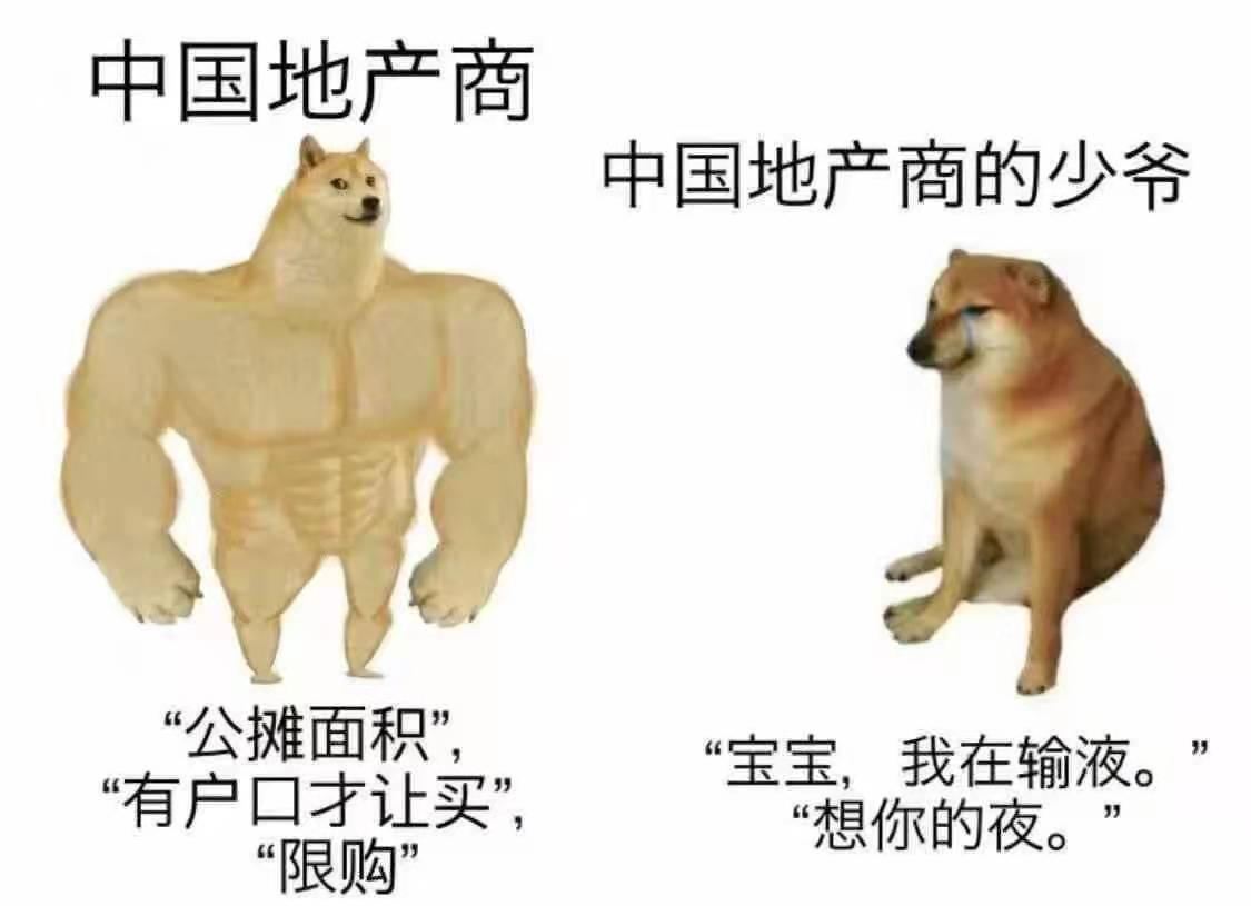 鸡飞狗窜，解密生肖之谜