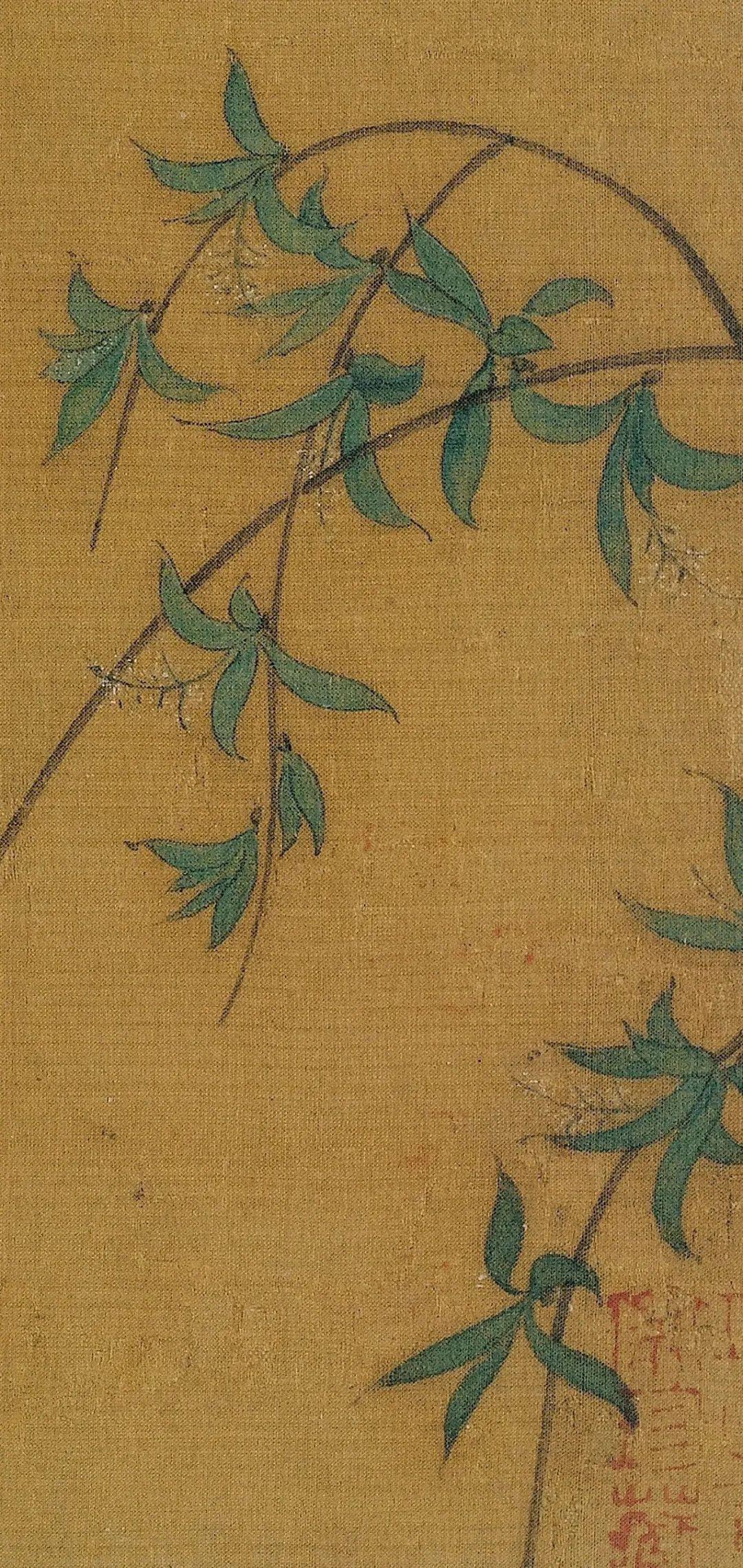 柳花之谜，揭秘生肖背后的浪漫传说