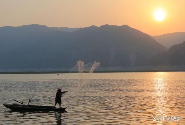 顺水推舟，顺人意—生肖之谜与友爱精神的深刻解读