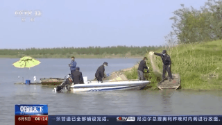 百感交集与生肖动物的和谐共舞，一场心灵的交响曲