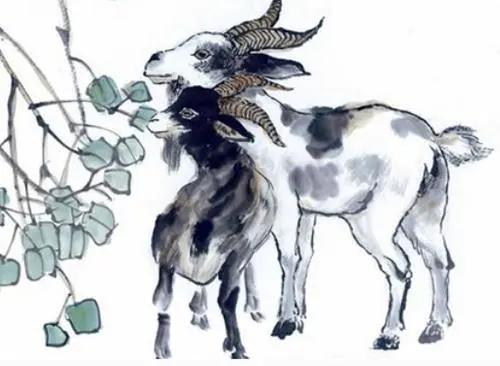 停滞不前是什么生肖，友爱作答落实解释