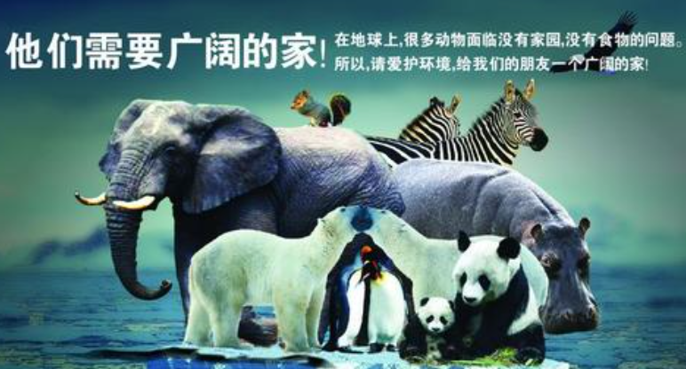 海说神聊猜一动物，热议解释落实