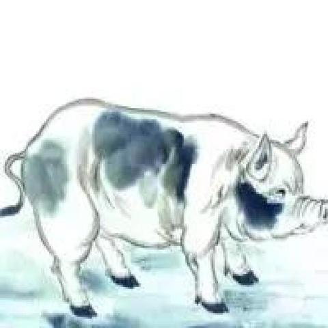 赶尽杀绝打一正确生肖，之谜与人生哲理的深度解析