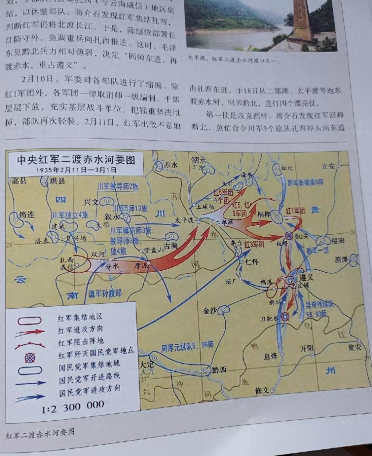 虎对冲的生肖，坚韧与不屈的背后