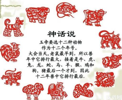 神秘揭秘，五牲背后的生肖奥秘