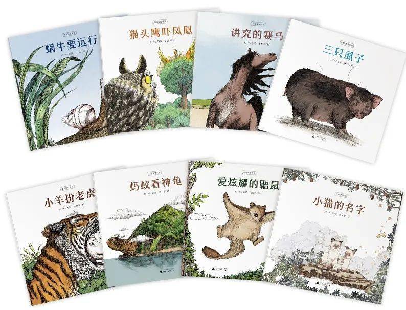 信口雌黄打一正确生肖，全面解析与落实