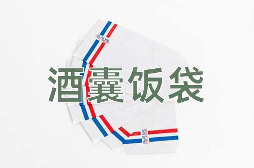 酒囊饭袋打一正确生肖，理想作答落实解释