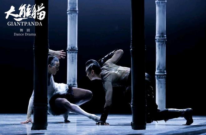 从者如云，生肖共舞的和谐之美