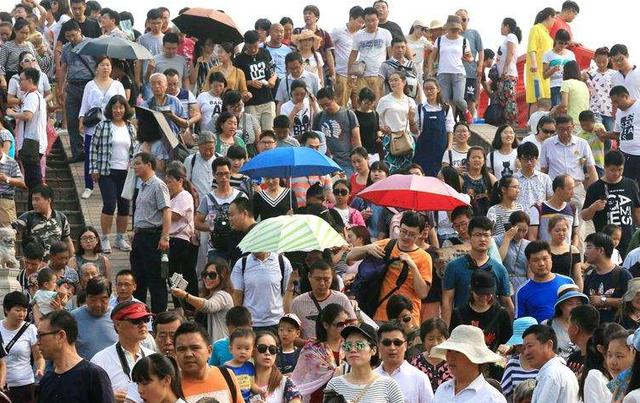 人山人海中寻觅的谜底—解析人山人海猜一动物的奇妙之旅