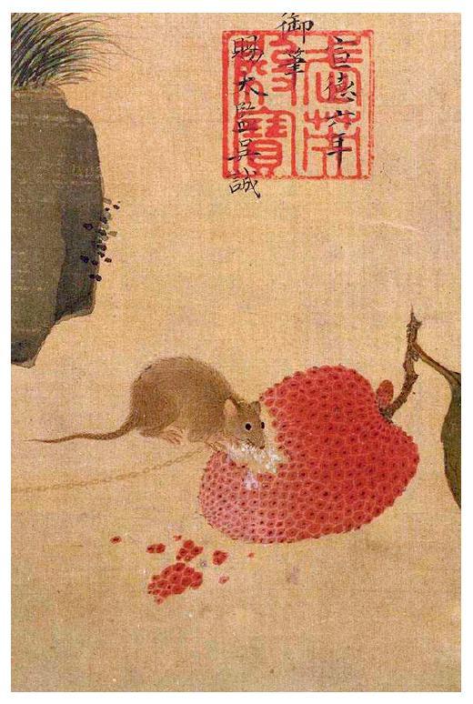 人人喊打的生肖，采民作答落实解释