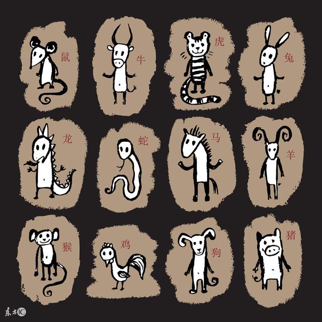 帮倒忙的生肖，成就解释与落实的智慧