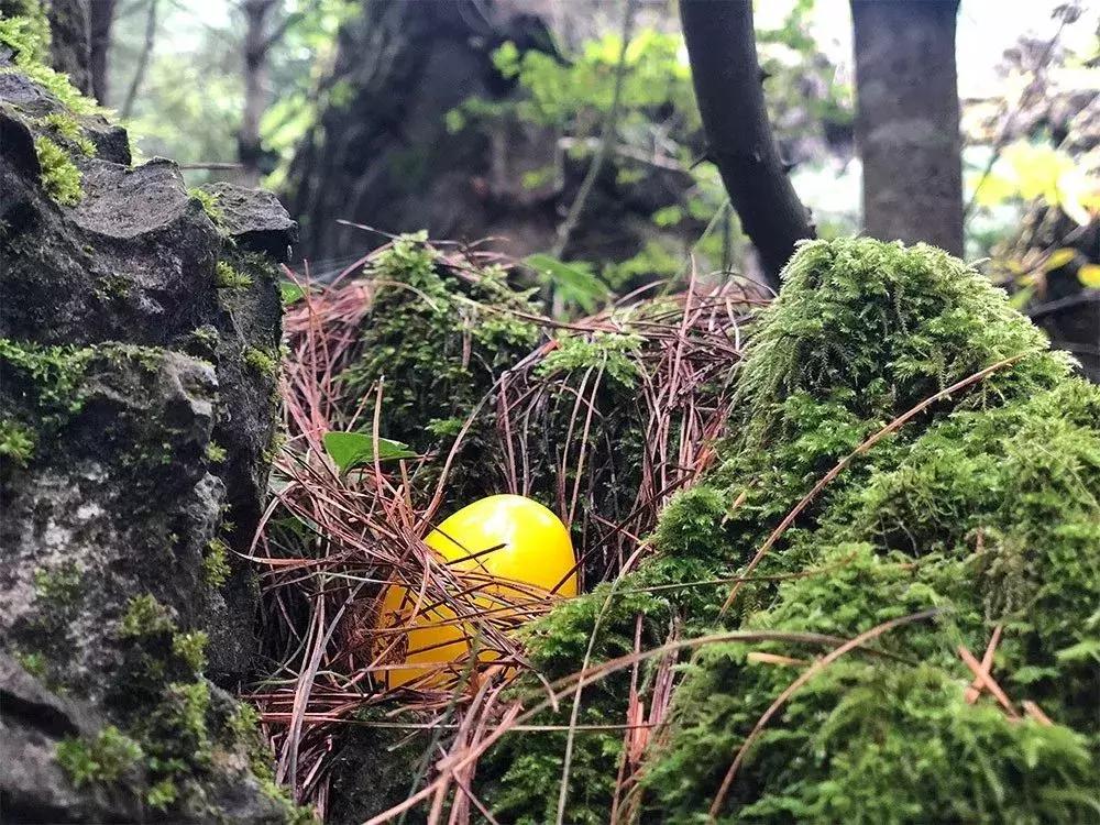 谜语探秘，匕鬯不惊猜一生肖