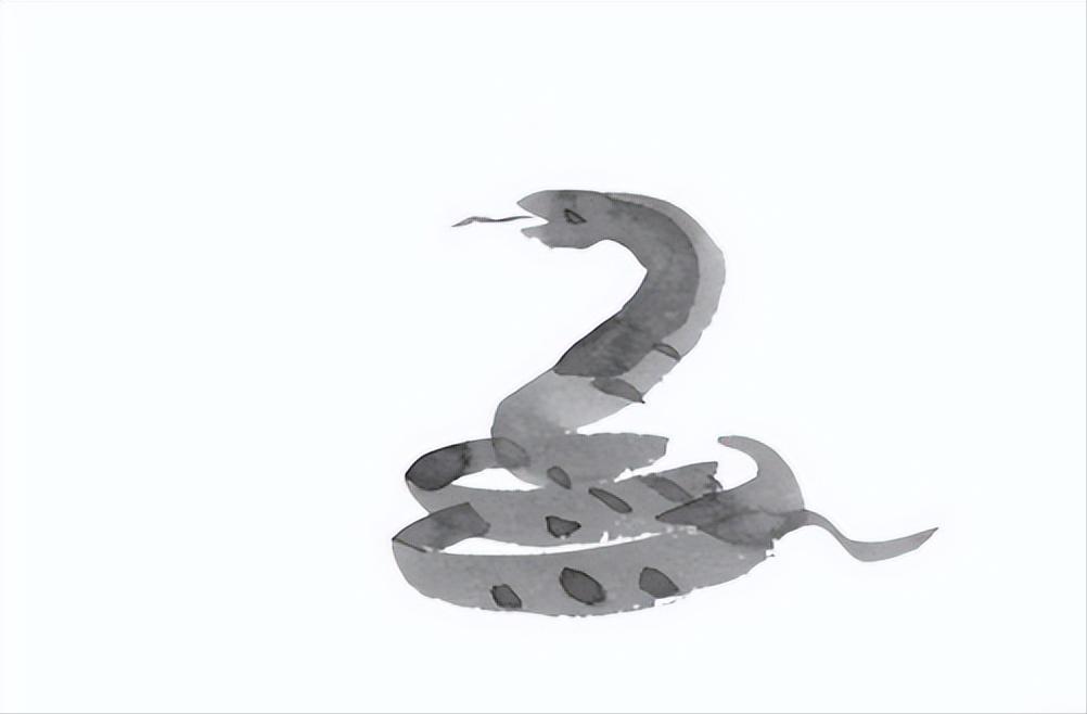 财源广进指什么生肖，与积极行动的完美结合