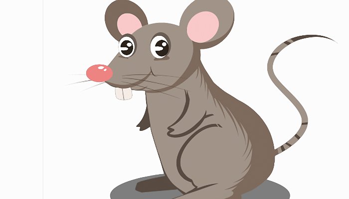 鼠女与生肖配对，一场温馨的传统文化解析