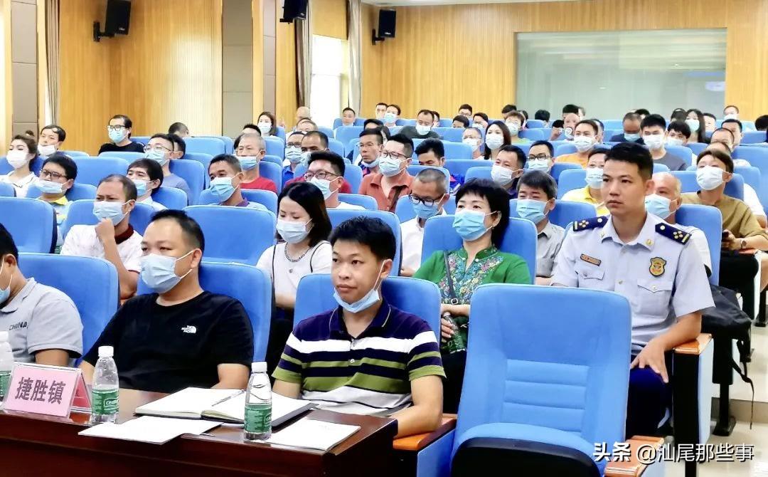 钦敬之忱打一正确生肖，全面解析与落实