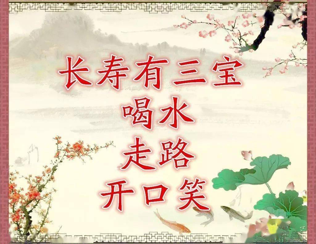 大智若愚，揭秘猜一生肖的智慧哲学与生肖之谜