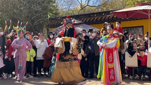 陆军与生肖，深度解析与智慧思考