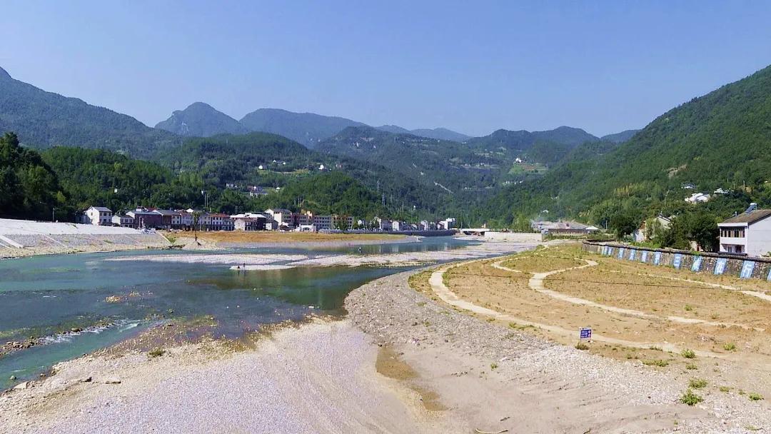 胆小动物与生肖的精准解析，落实精神在生活中的体现