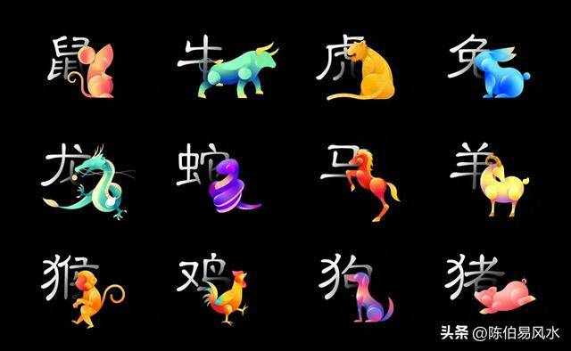 铜筋铁骨，揭秘生肖背后的坚韧与力量