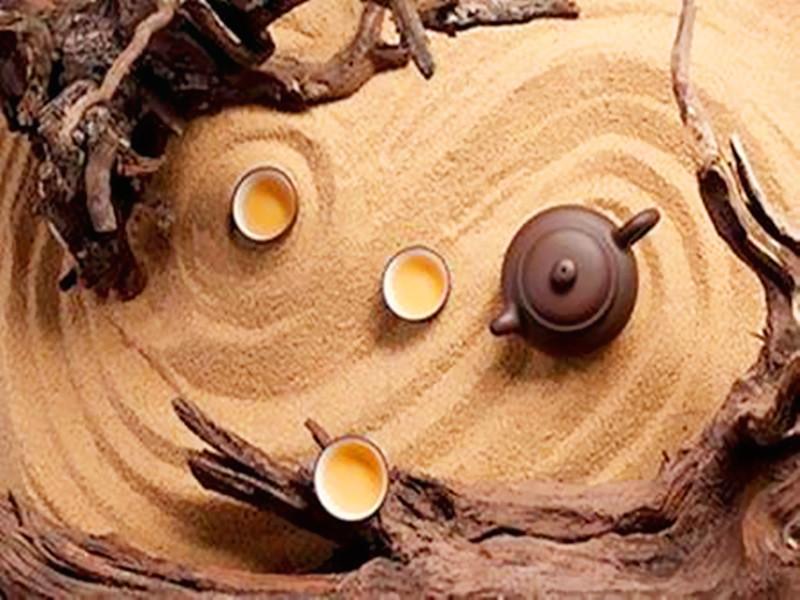 班金波凉猜一动物，智慧与趣味的奇妙碰撞