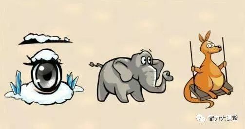 咬字眼儿猜一动物，热议解释落实