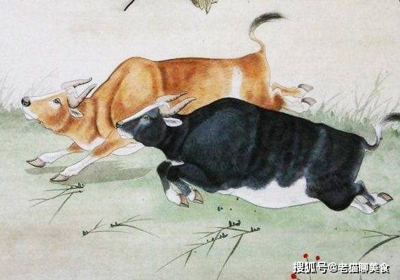 任劳任怨打一生肖，经典解释作答落实