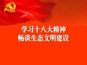 精准解析暗度陈仓与生肖之谜，落实精神，洞悉智慧