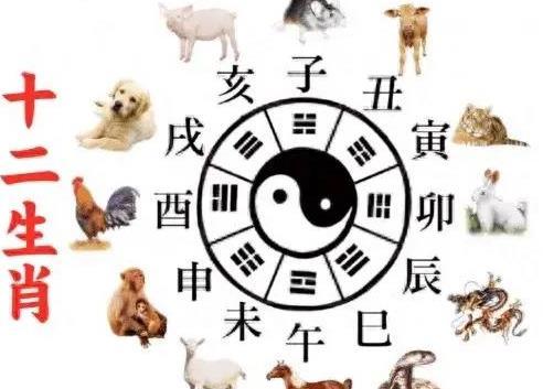 九曲十八转二五打一正确生肖，热议作答落实解释