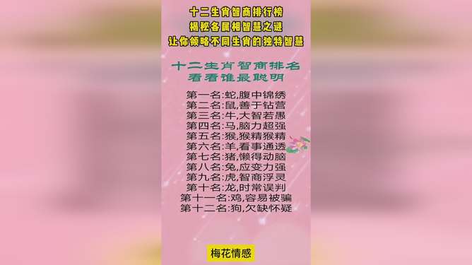 千王之王出江湖，揭秘生肖之谜