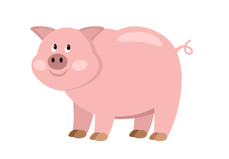 今期生肖多变化，与积极行动的完美结合