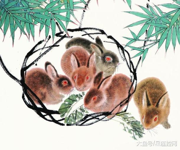 奋发图强是指什么生肖，深度解析与文化寓意