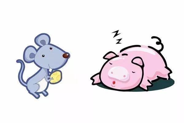 乱丢东西的生肖，详细作答落实解释