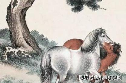 添枝加叶指的是什么生肖，揭秘背后的文化寓意