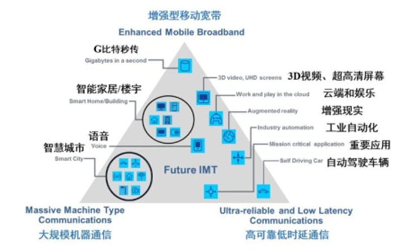 双肖有看头是什么生肖，一语中的，全面解析