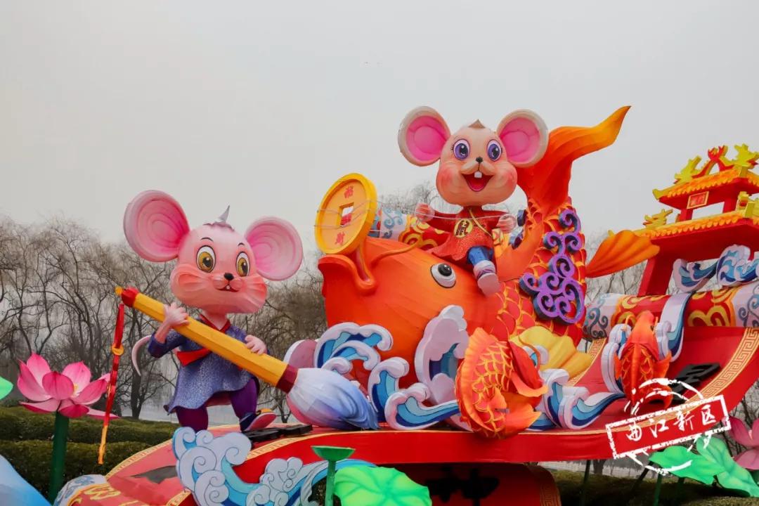 十月怀胎之谜，生肖探秘与民俗智慧