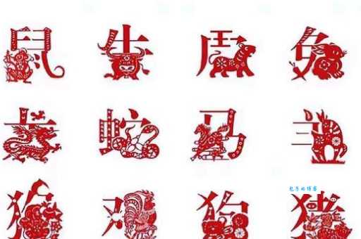 循规蹈矩什么生肖，中蕴含的哲理