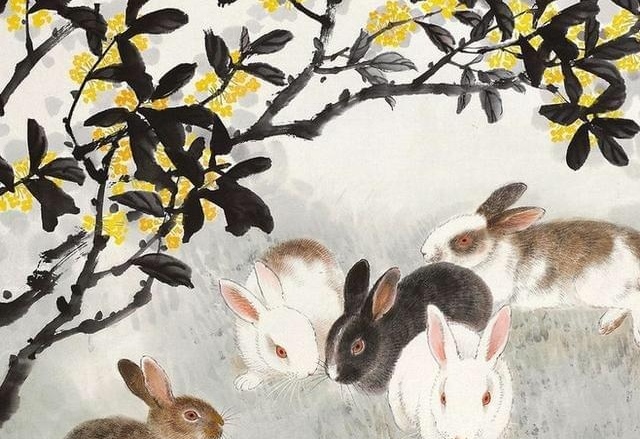 问五今秋几时黄猜一生肖，背后的智慧与哲理