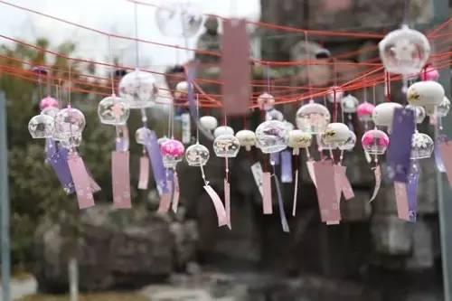 喜见树前闹杏花是打一正确生肖，的精准解答与落实精神