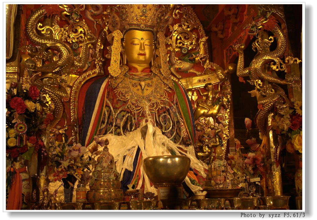 普渡众生，生肖之谜的深度解析